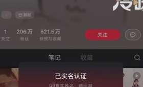 抖音红利，揭秘如何通过拍抖音赚钱